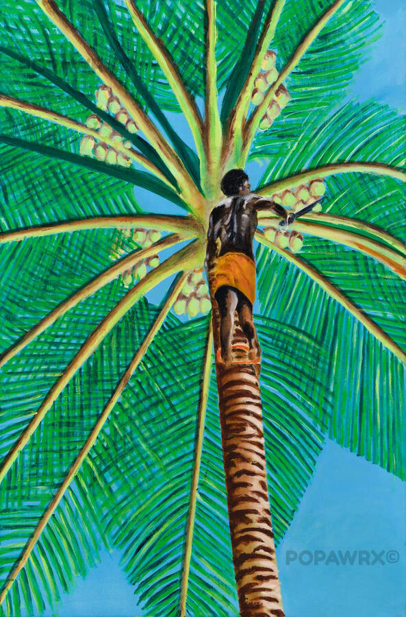 The coconut harvester - 2024